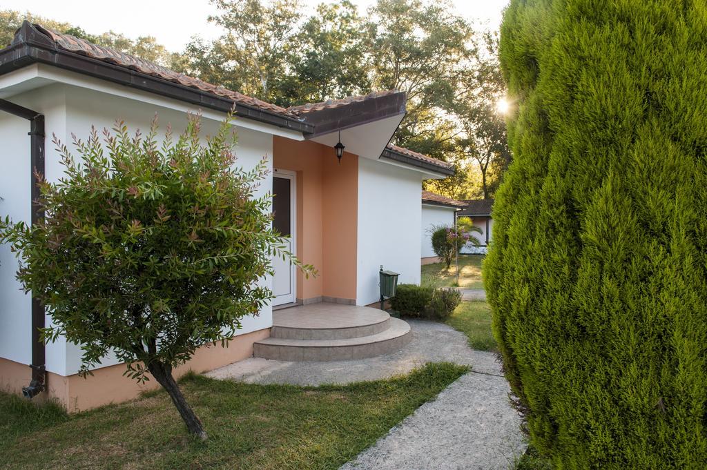 Htp Velika Plaza Ulcinj Hotel Bilik gambar